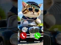 Police is calling #cat #police #ringtone #funny