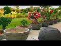DIY How to make large Concrete Planters from A to Z Concrete Pottery