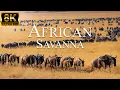 Download Lagu African Savanna 8K ULTRA HD | Wild Animals of African Safari | Relaxation Film