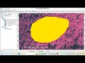 Supervised Classification Part 3