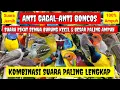 Download Lagu SUARA JERNIH 💯% AMPUH‼️ SUARA PIKAT SEMUA BURUNG KECIL \u0026 BESAR