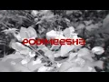 NAZEEB BILLU - Podimeesha ft.LIL PAYYAN & AZWIN [Official Lyrical Video]
