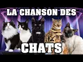 Download Lagu 🐱 LA CHANSON DES CHATS 🐱