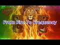 Lagu Roots Reggae Mix 2025 – From Fire to Frequency 🔥