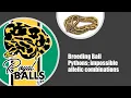 Breeding Ball Pythons Impossible Allelic Combinations