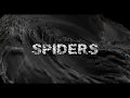 Download Lagu System of a Down - Spiders (Lyrics)