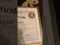 BullyPedia Authenticity Certification on your pedigrees American Bully Pedigree