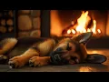Cozy Fireplace - Sleeping German Shepherd Puppy 10 Hours of Relaxing Crackling Fire Sounds