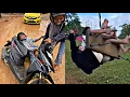Download Lagu SI PALING RANDOM PART 20  ❗🤣🤣  ❗VIDEO LUCU BIKIN NGAKAK ❗KUMPULAN MEME LUCU TERBARU❗ #ngakak #lucu