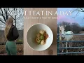 VLOG What I eat in a day counting macros meet my horse