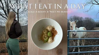 VLOG What I eat in a day counting macros meet my horse