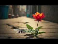[Playlist]에그플리#752🍃Picture Of You - Sara Kays  (lyrics)