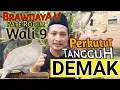 Download Lagu PERKUTUT KERAMAT...⁉️ TANGGUH DEMAK, DARI BRAWIJAYA MAJAPAHIT HINGGA PATE RODIM, Begini kisahnya..