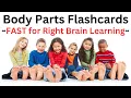 Body Parts Flashcards FAST for Right Brain Learning