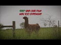 Video di #freellamageddon