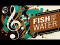 Trampled By Turtles - New Orleans Reaction 