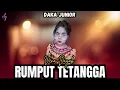 Download Lagu RUMPUT TETANGGA GANJUR || VENA DAYAK FEAT DJ DEO || LIVE DAKA JUNUOR