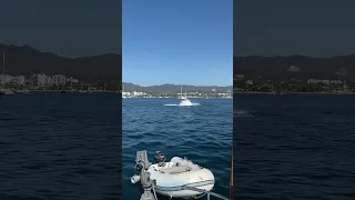 HUMPBACKS in our Anchorage🐋⚓️🤯 #cruising #mexico #offshore #sailing #anchor #whale #shorts