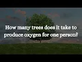 How many trees does it take to produce oxygen for one person