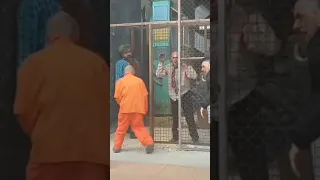 نهايه العالم وبدايه الزومبي 202z 