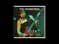 Download Lagu The Cranberries - Go Your Own Way HQ