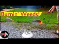 Burning Weeds with a Propane Torch