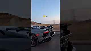 اغاني راي أفضل اغاني راي جزائري 2024 Djrai اكسبلور Rai تيك توك Dj منيني لسنة 2024 Music 