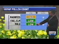 Plenty of pollen and sunshine for Sunday KXAN weather update Sept 28