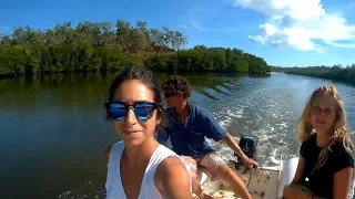 Ep.170 Crocodile & Eagles on the Menu