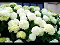 In Memory of Joseph Scott Housley