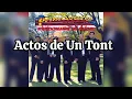 Actos de Un Tonto - Conjunto Primavera - (Audio/Oficial)