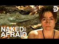 Foraging and Hunting for Food to Survive Naked and Afraid Discovery