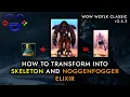 Noggenfogger Elixir and Skeleton Transform Wotlk Classic