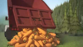 Carrot Crazy