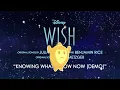 Julia Michaels - Knowing What I Know Now (Demo) (From "Wish"/Audio Only)