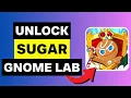 How To Get Sugar Gnome Laboratory In Cookie Run Kingdom 2025