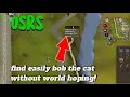 How to find EASILY Bob the Cat without World hoping
