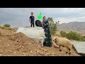Download Lagu Nomadic mother: Help and purchase of water tanker for a better life in the mountains