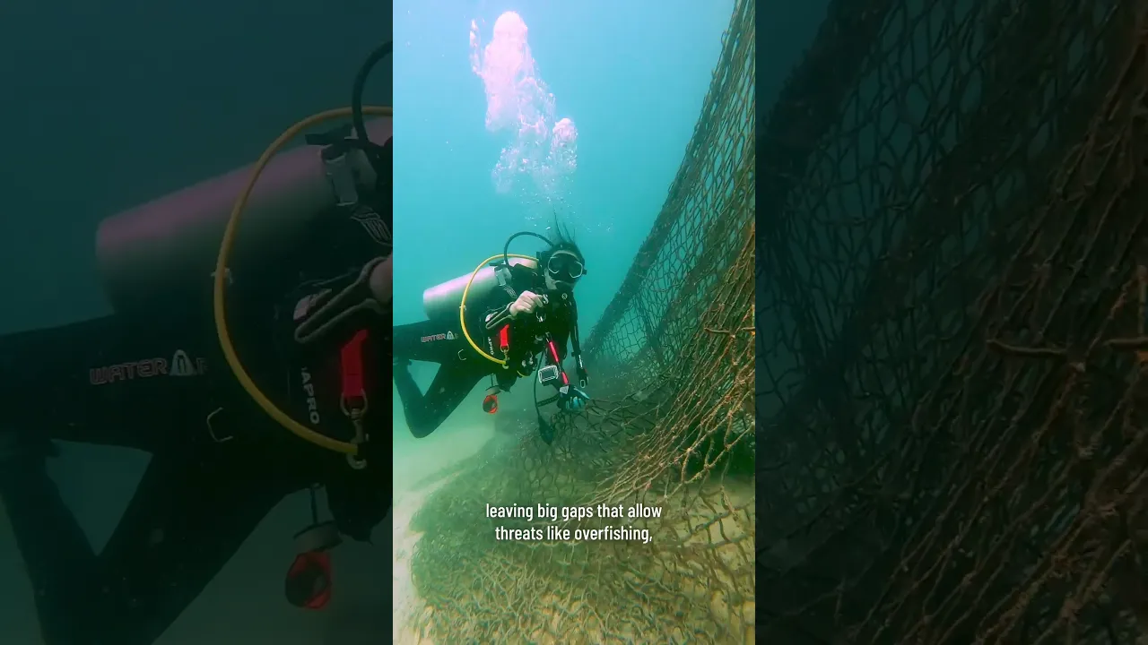Conservation International channel featured image