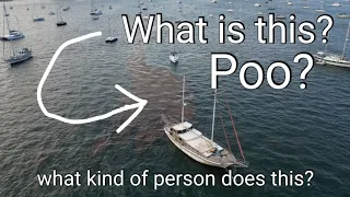 Why Palm Beach is the best port in Florida