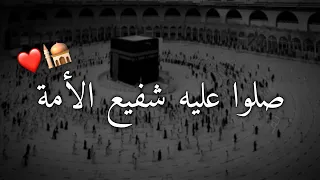 صلوا عليه شفيع الأمة   حالات واتس اب عيد مولد النبي   ستوريات انستغرام حالات واتس اب دينيه قصيره   دندنها