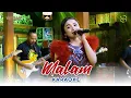 Download Lagu KARAOKE MALAM - TASYA ROSMALA - OM ADELLA