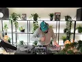 Larry June Mix  | The Organic Playlist