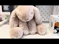 Jellycat Smudge Rabbit-It s that good