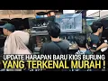 PASAR BURUNG ! KETEMU LAGI KIOS BURUNG YANG TERKENAL MURAH DI PASAR BURUNG PRAMUKA HARI INI 