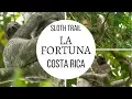 La Fortuna Sloth Tour Costa Rica