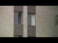Son shoots mother then himself inside apartment on Arlington Boulevard
