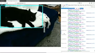 Real time object detection on a Pi Zero streaming over the web