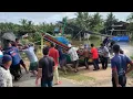 Download Lagu Fishermen hold 'gotong-royong' to pull their traditional boats to higher ground