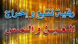 رقية اخراج و تتبع العين والمس بأمر الله الشيخ ناصر آل زيدان الغامدي 